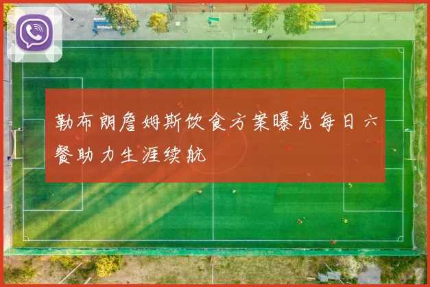 勒布朗詹姆斯饮食方案曝光每日六餐助力生涯续航