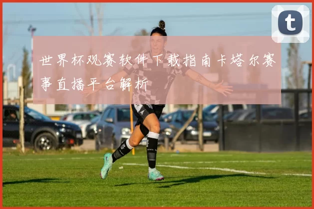 世界杯观赛软件下载指南卡塔尔赛事直播平台解析