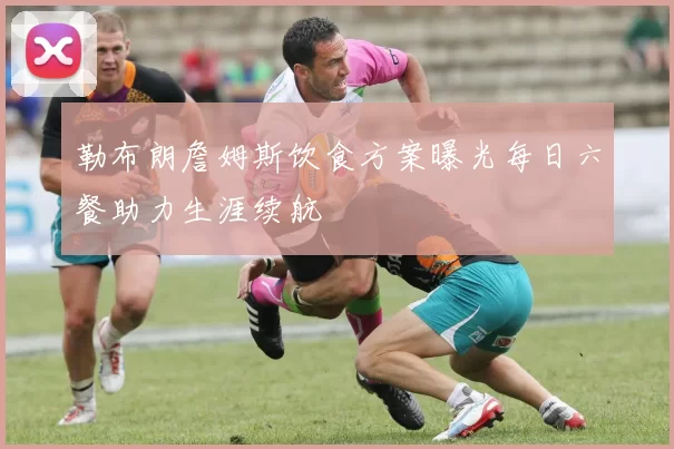 勒布朗詹姆斯饮食方案曝光每日六餐助力生涯续航