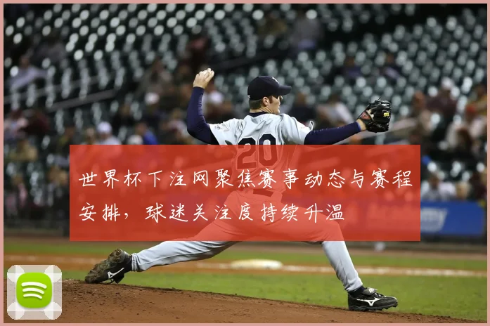 世界杯下注网聚焦赛事动态与赛程安排,球迷关注度持续升温