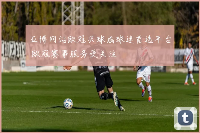 亚博网站欧冠买球成球迷首选平台 欧冠赛事服务受关注